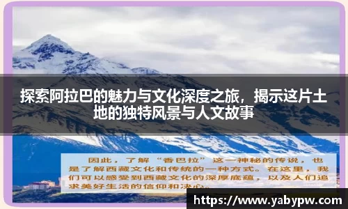IM电竞官网