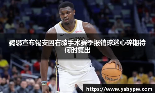 IM电竞官网