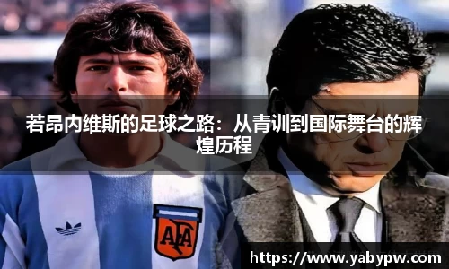 IM电竞平台